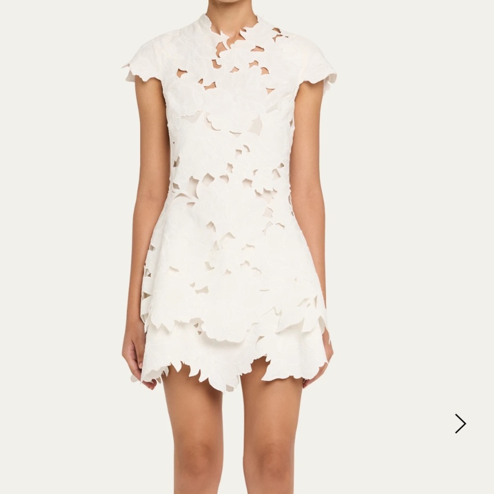 Simkhai Holloway dress